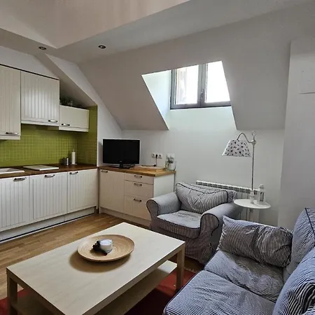 Apartamento Atico Estacion Apartment Canfranc